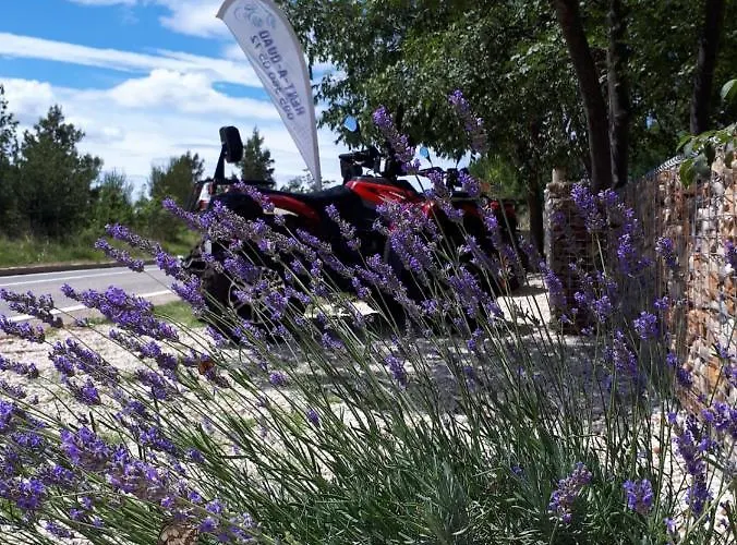 Apartament Amanda B Seline